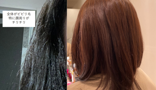 ビビリ毛修復体験談 福岡パーマでチリチリになった頭をどうにかした話